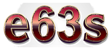 e63s logo